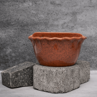 Crimson Curly Planter By Shivika's Pottery Crimson Curly Planter By Shivika's Pottery